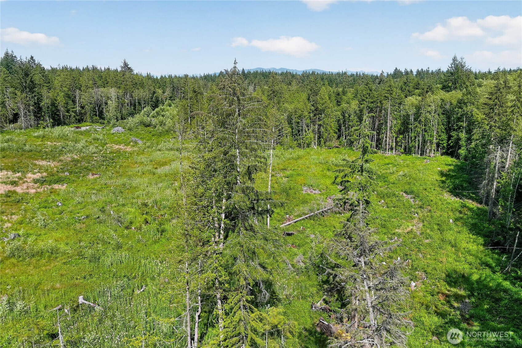 0 Xxx W Oak Harbor Property Photo 8