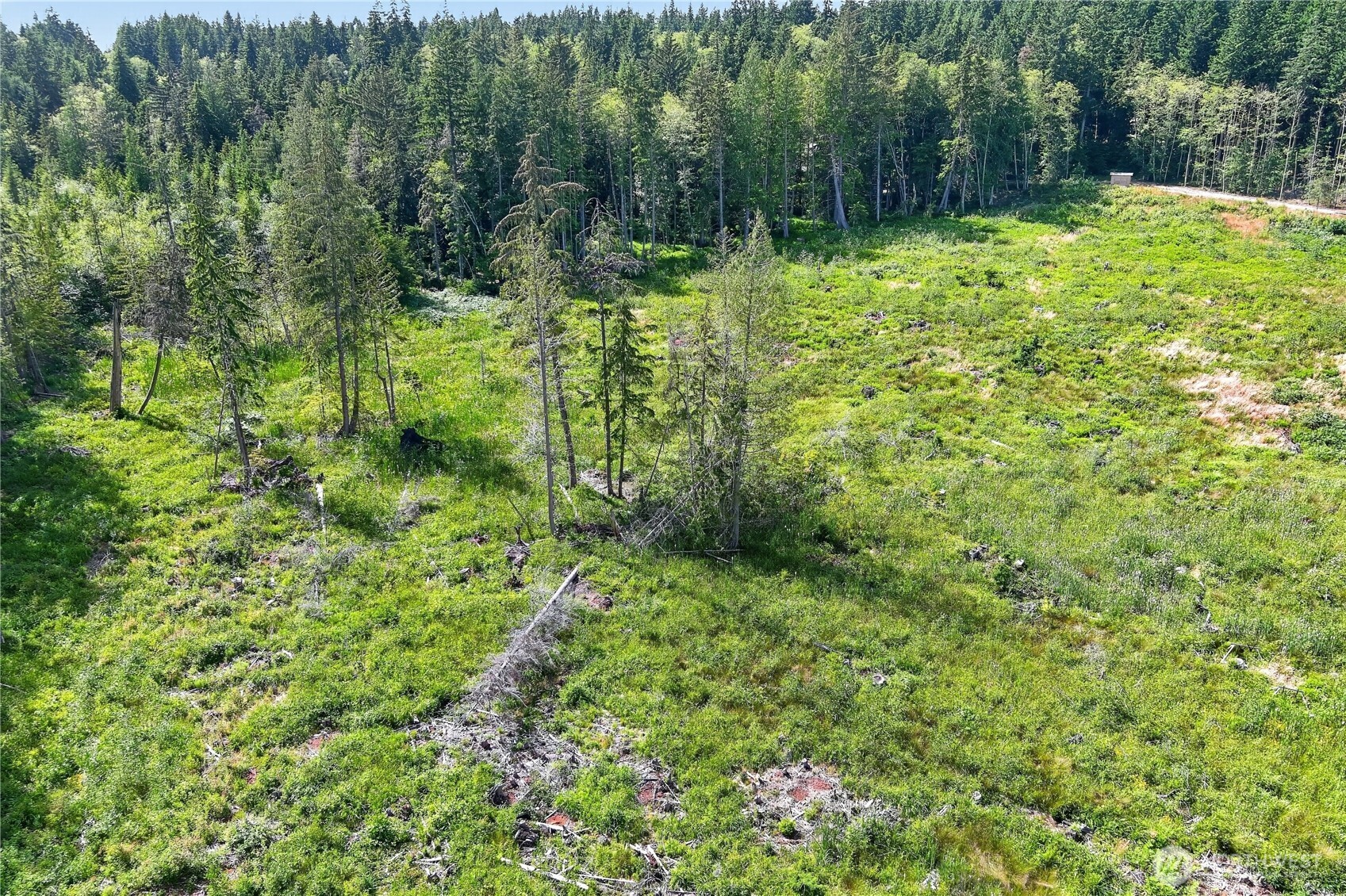 0 Xxx W Oak Harbor Property Photo 10