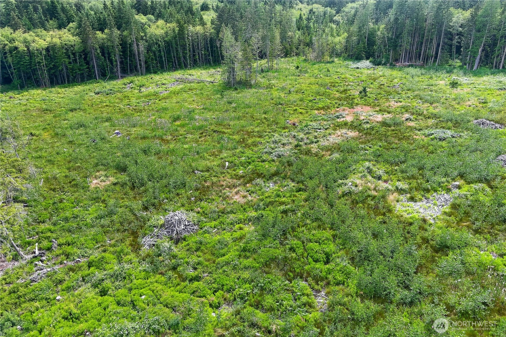 0 Xxx W Oak Harbor Property Photo 13