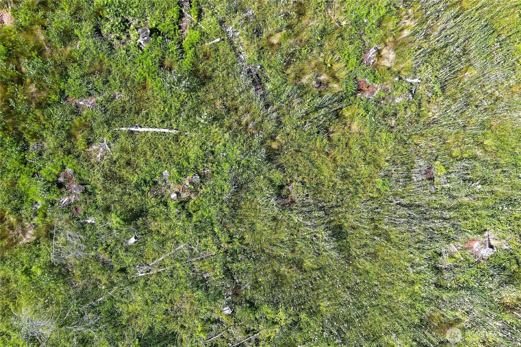0 Xxx W Oak Harbor Property Photo 14