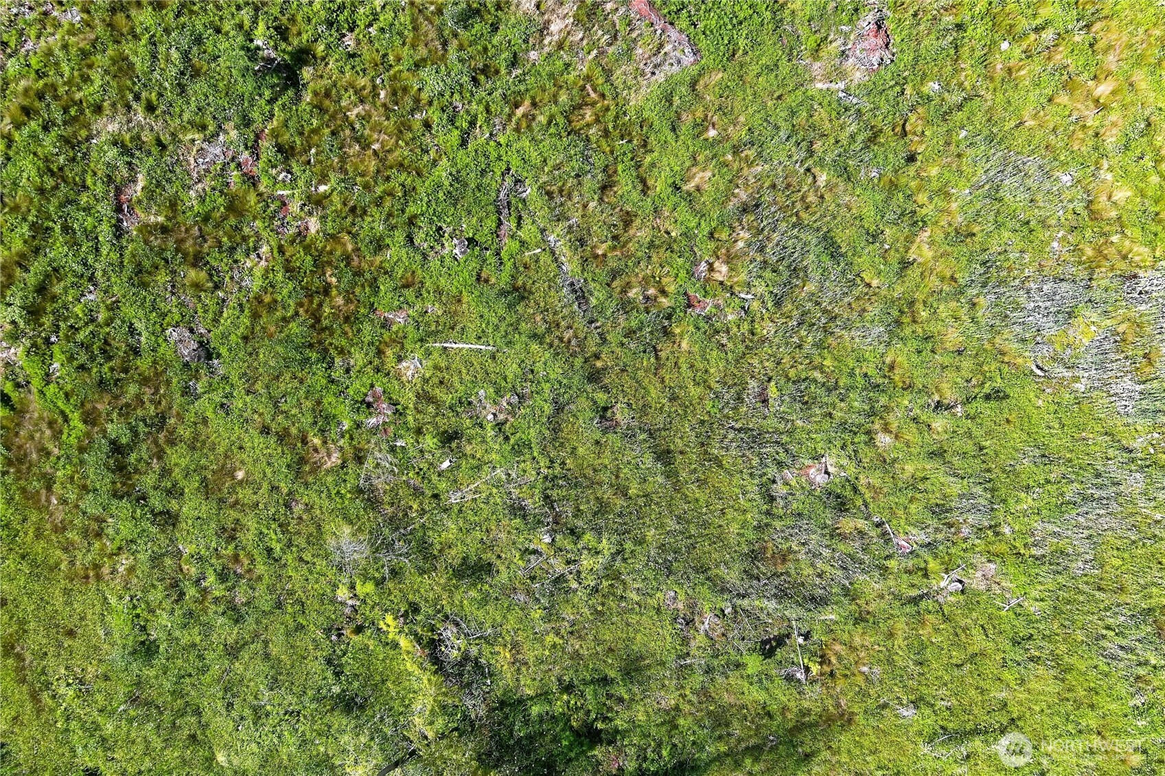 0 Xxx W Oak Harbor Property Photo 15