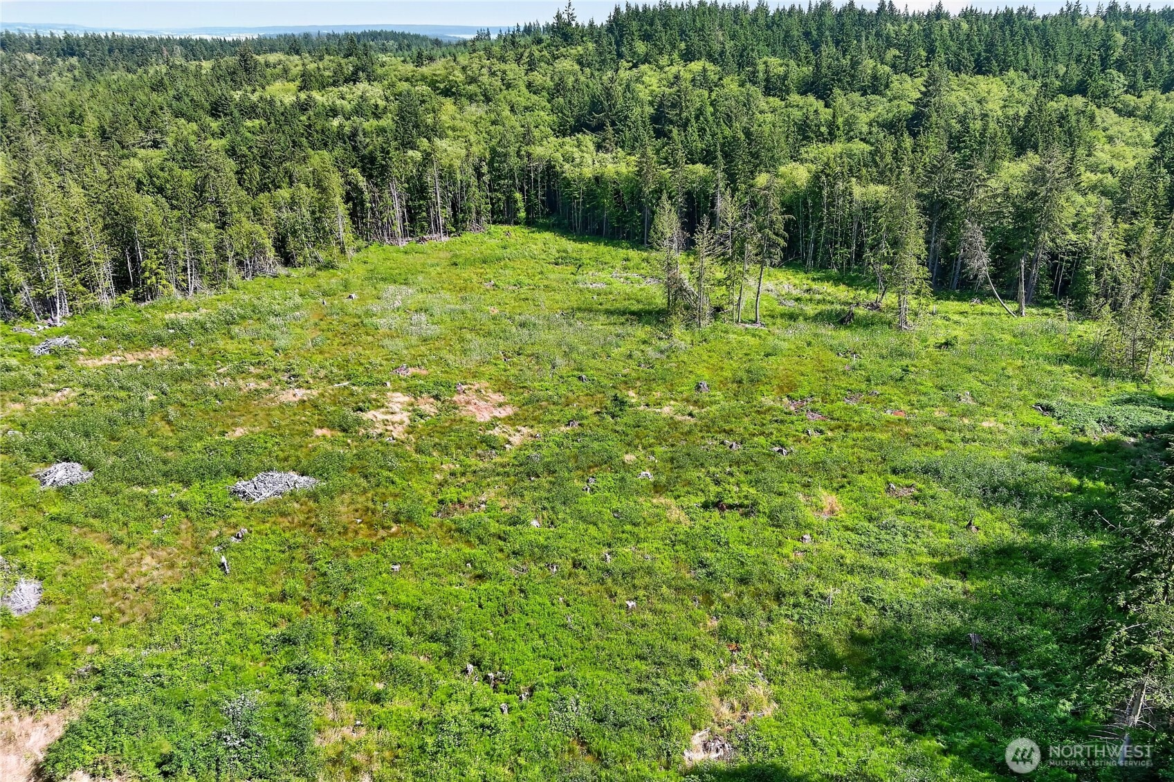 0 Xxx W Oak Harbor Property Photo 16