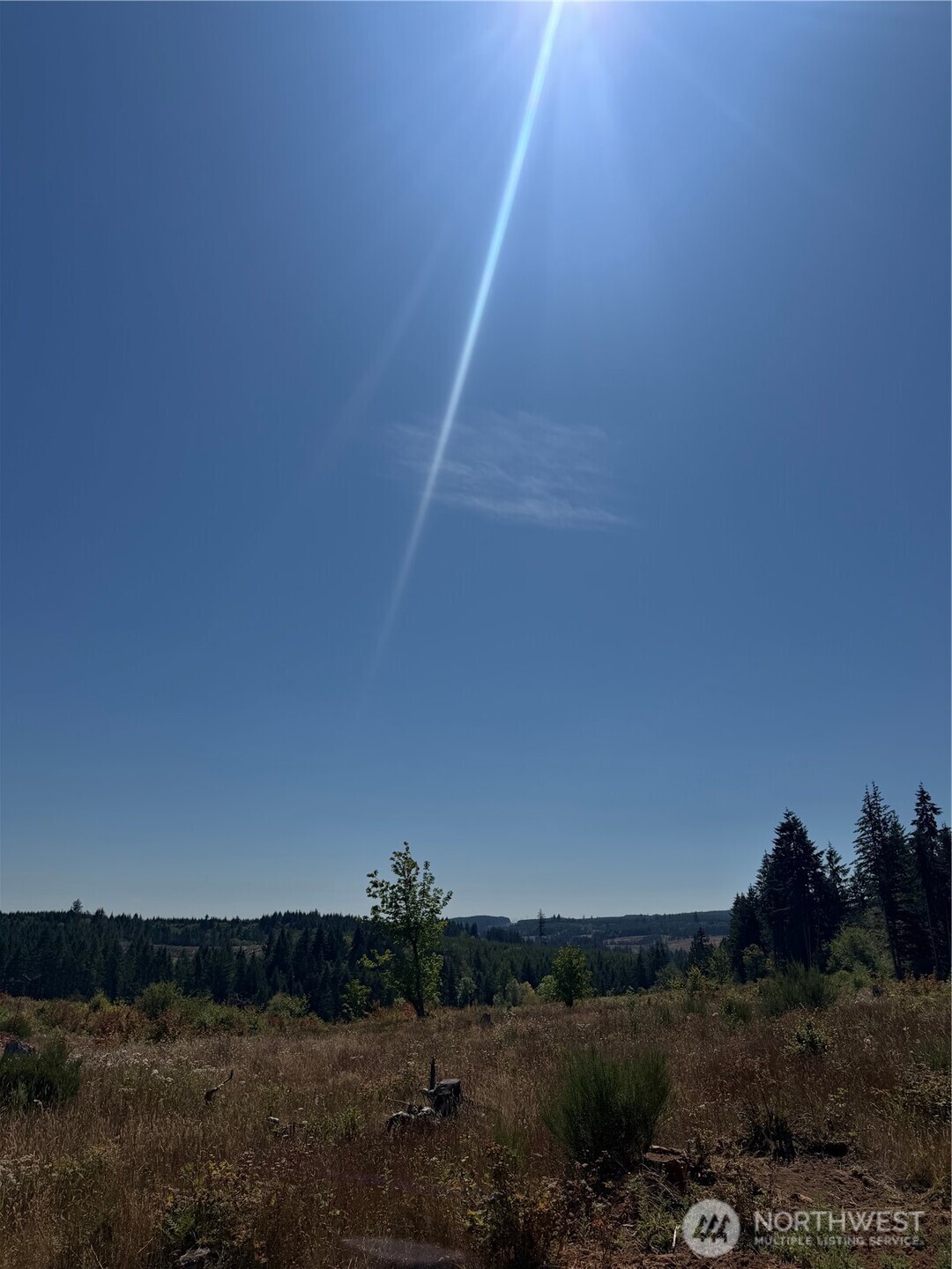 607 Brown Road Property Photo 16