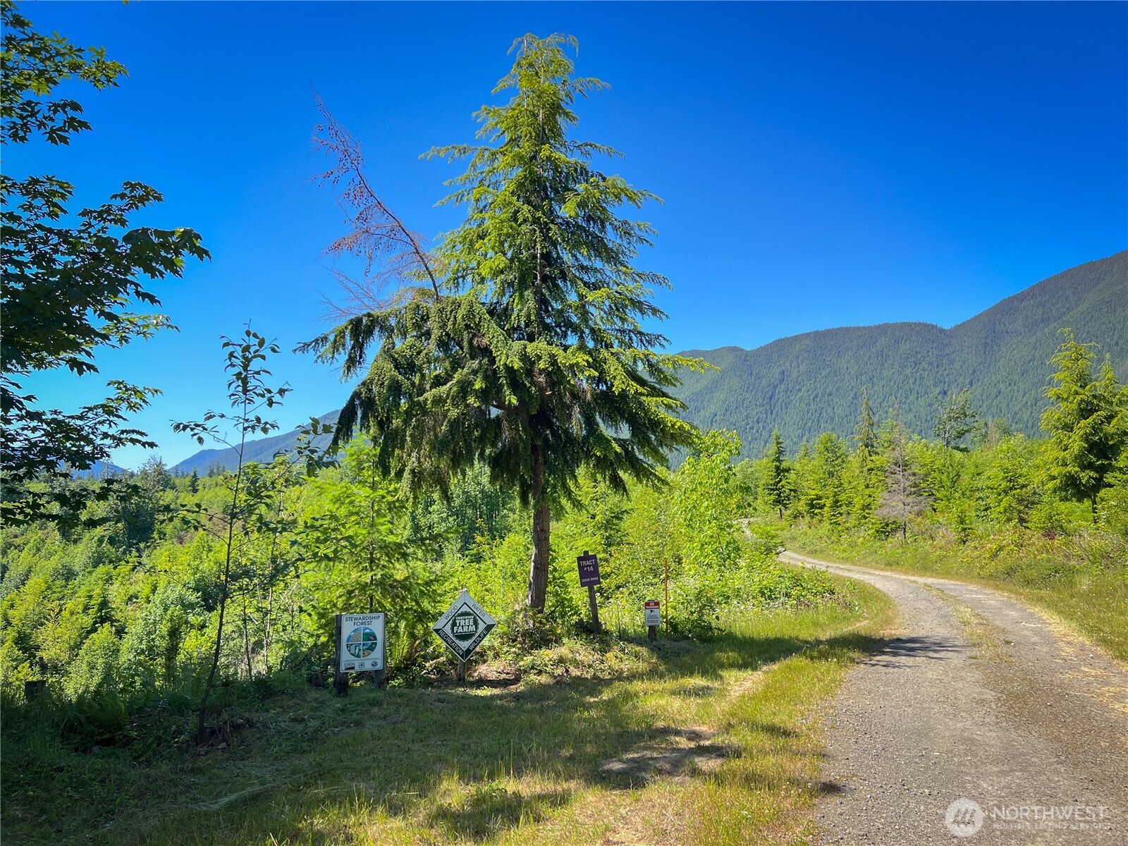 2904 Wildwood Drive Property Photo 15