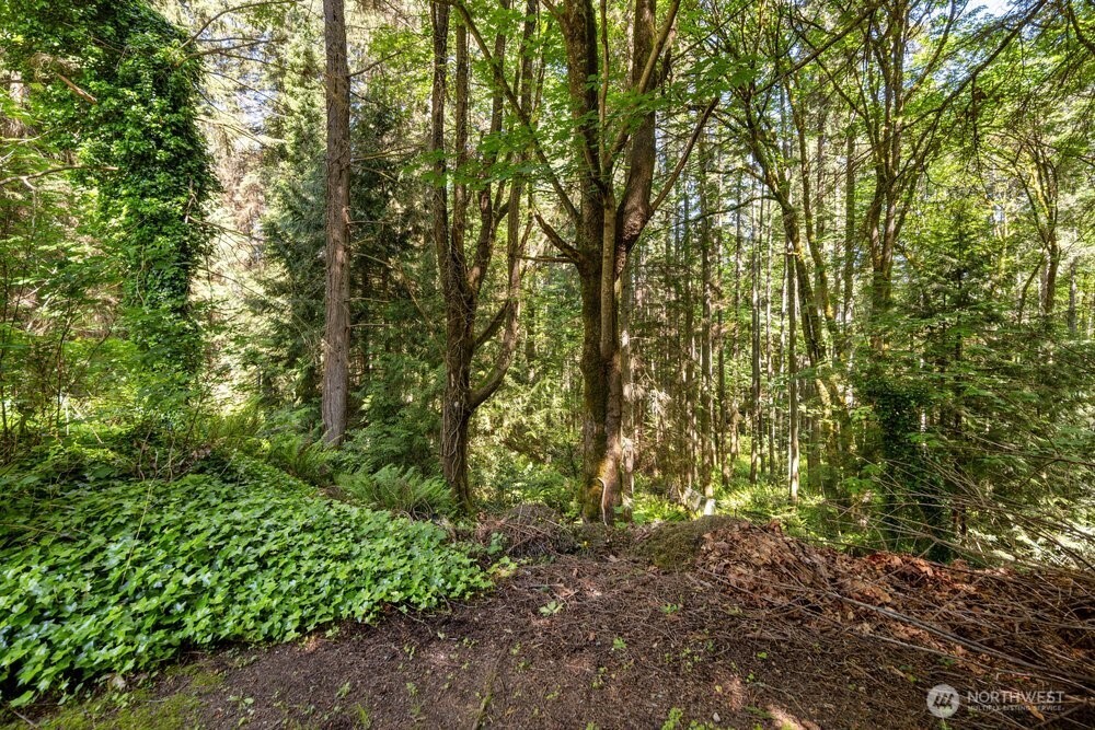 13412 54th Avenue Property Photo 32