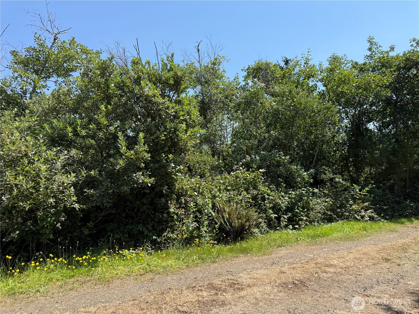 1 Xxx Larkin Property Photo 4