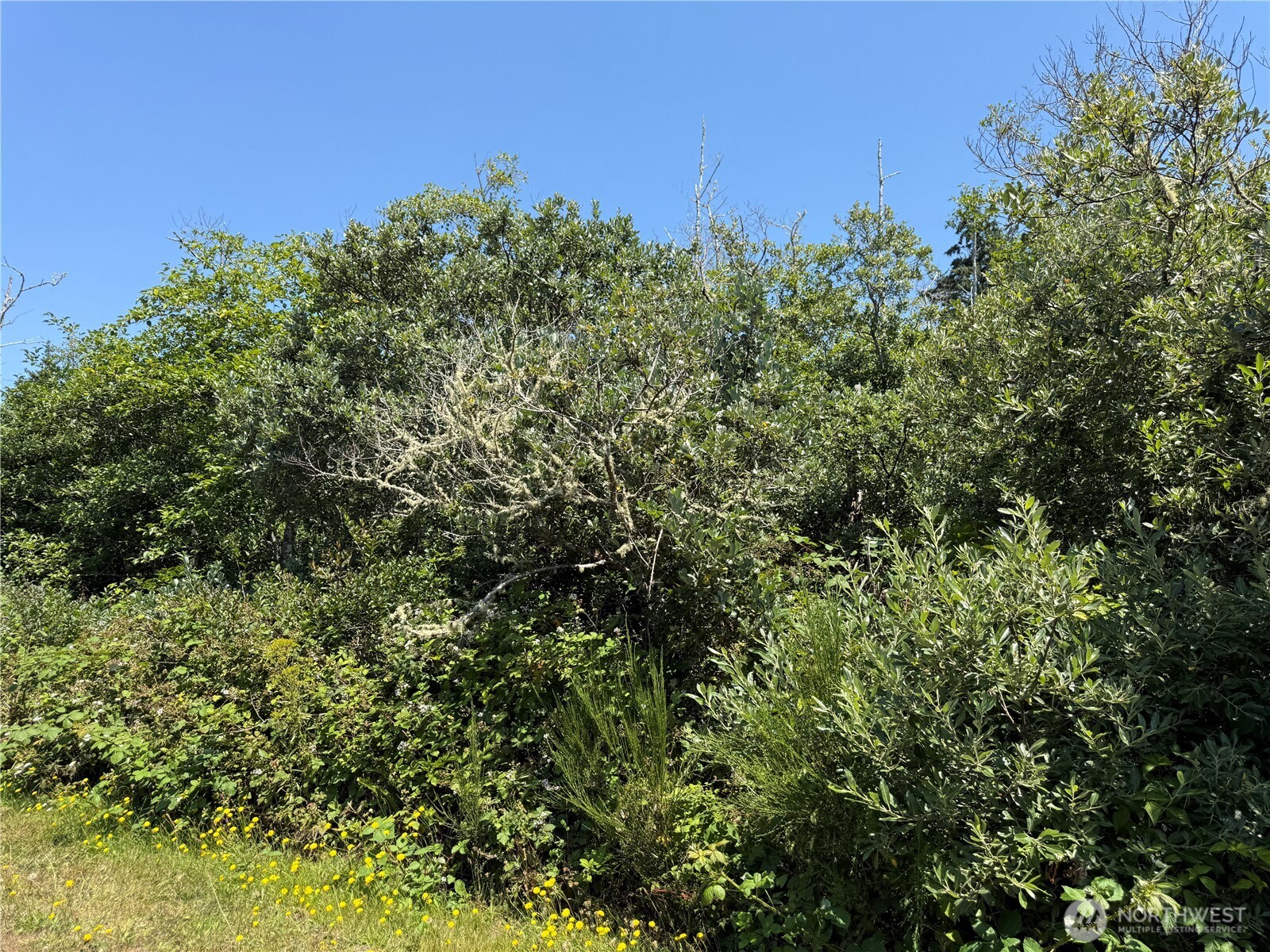 1 Xxx Larkin Property Photo 5