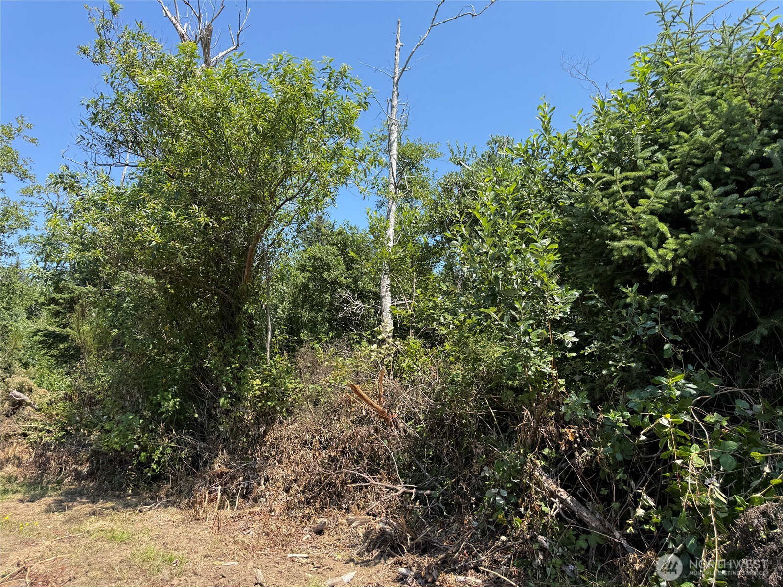 1 Xxx Larkin Property Photo 6