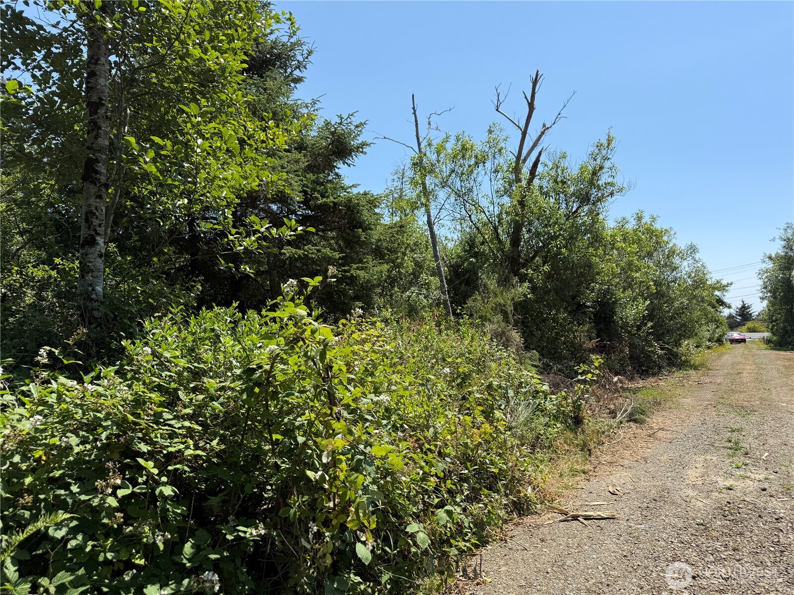 1 Xxx Larkin Property Photo 7