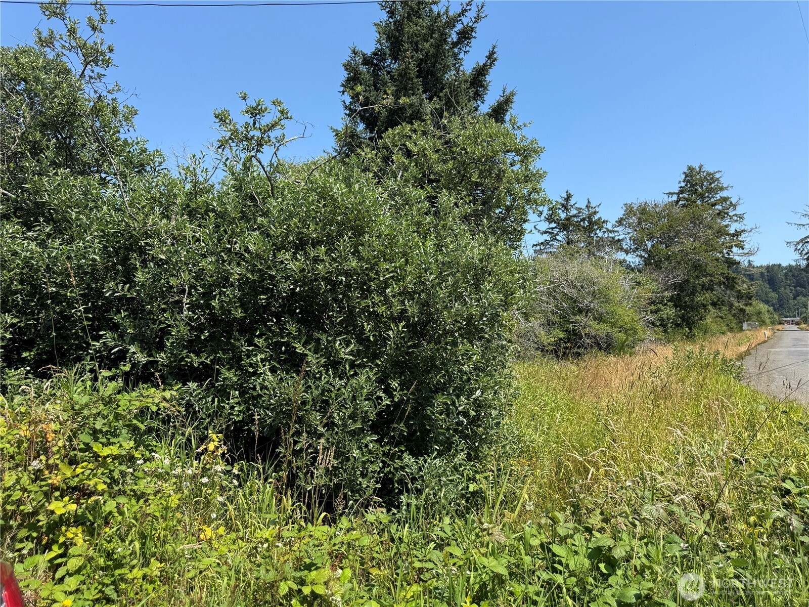 1 Xxx Larkin Property Photo 10