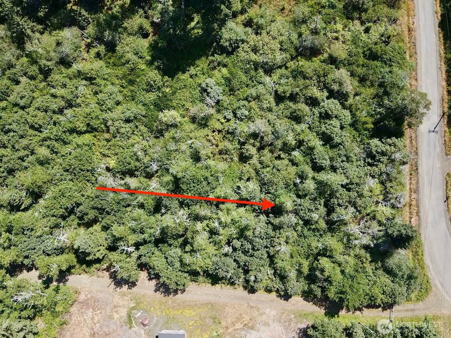 1 Xxx Larkin Property Photo 11
