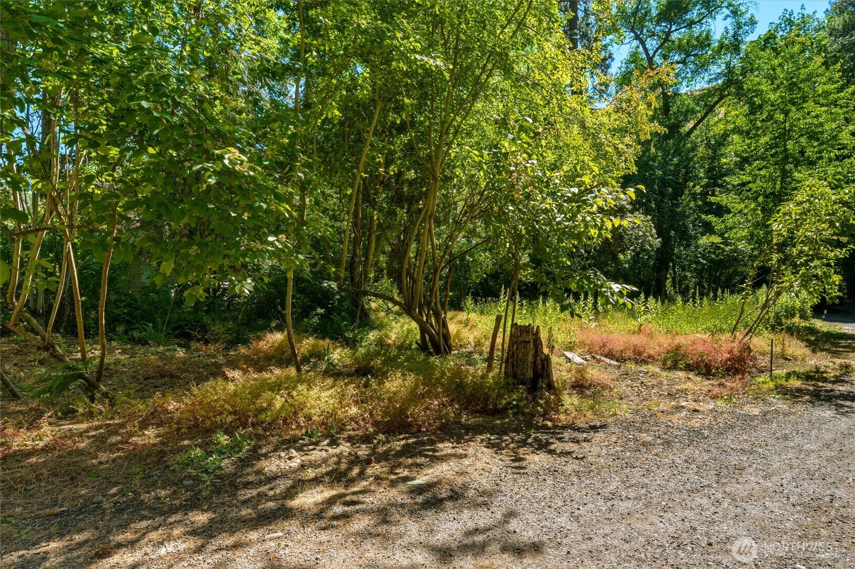 106 109 Mountain Home Park Lane Property Photo 23