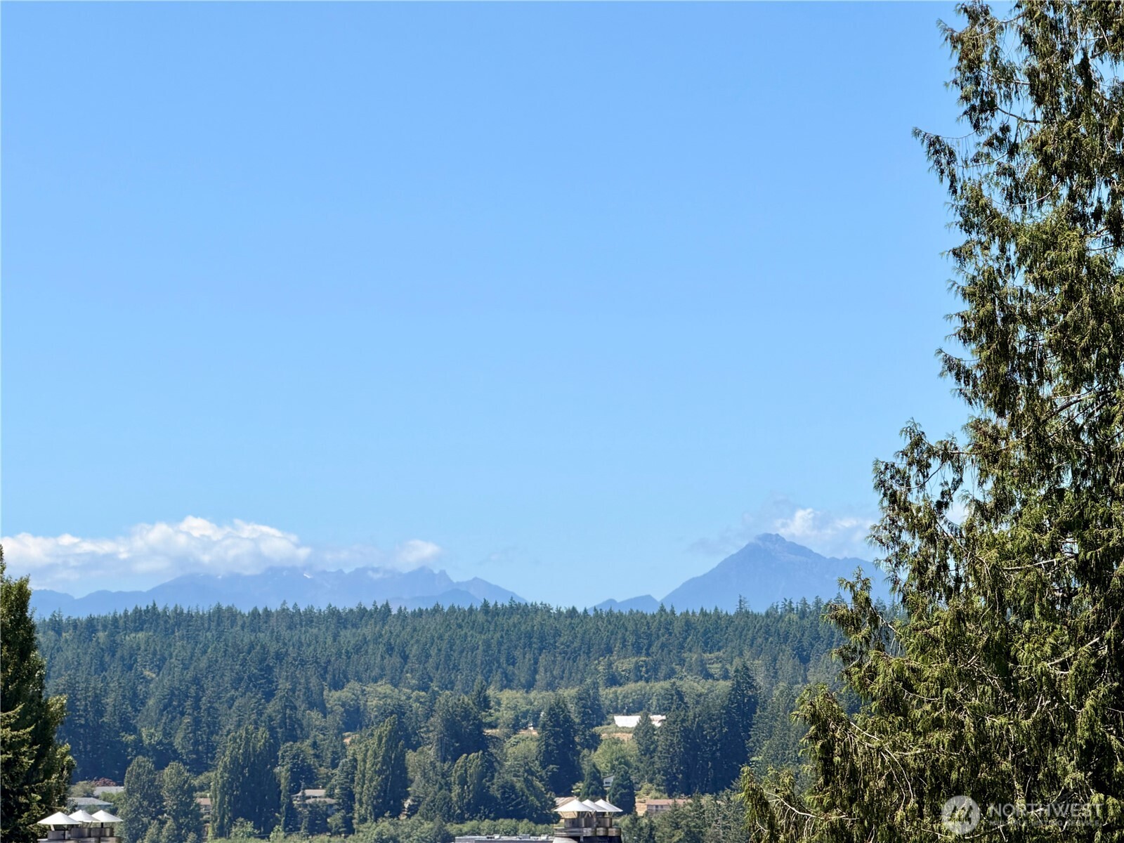 20161 Viking Crest Loop 5-205 Property Photo 1