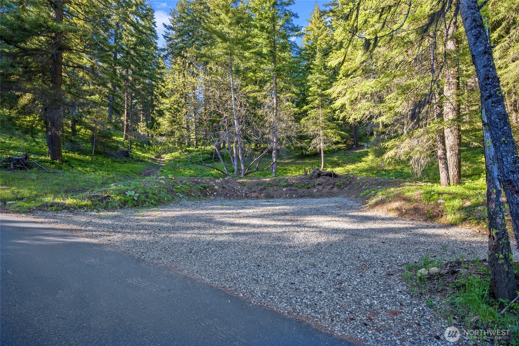 0 Xxx Lava Lane Property Photo 1