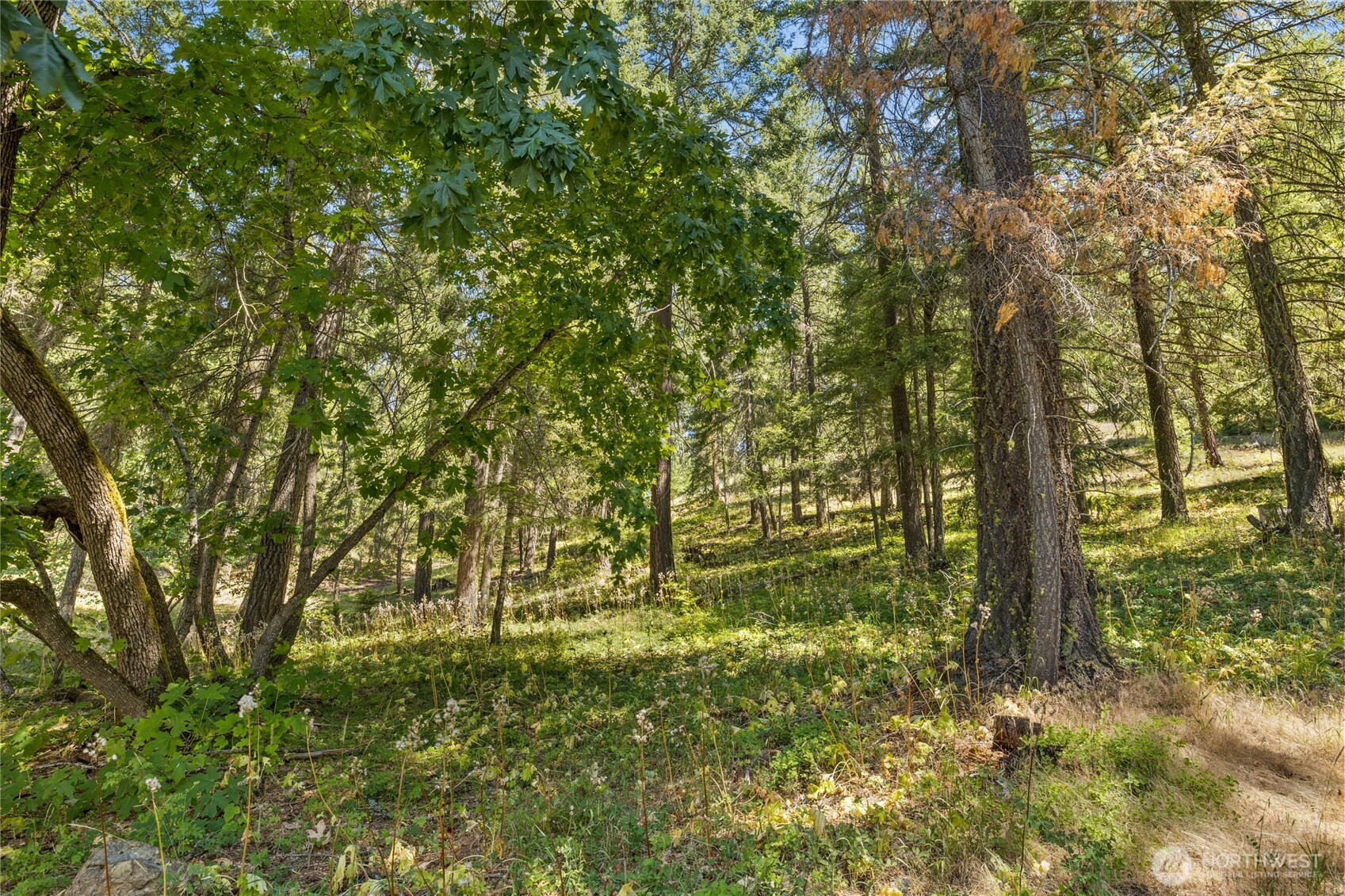 0 Xxx Lava Lane Property Photo 2