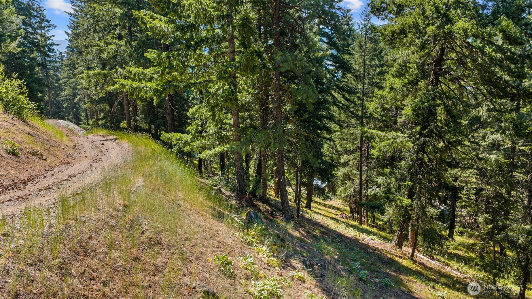 0 Xxx Lava Lane Property Photo 6