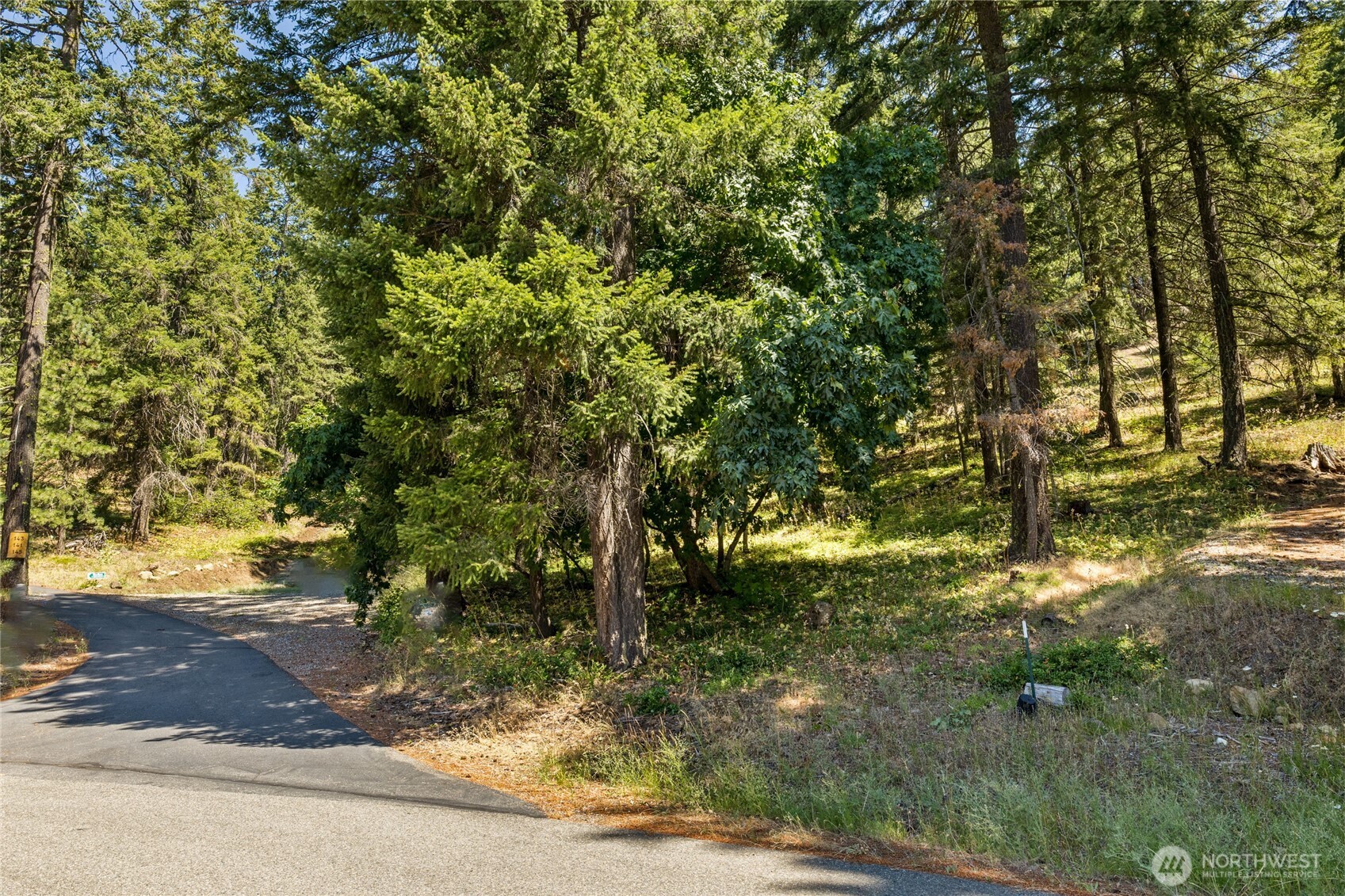 0 Xxx Lava Lane Property Photo 12