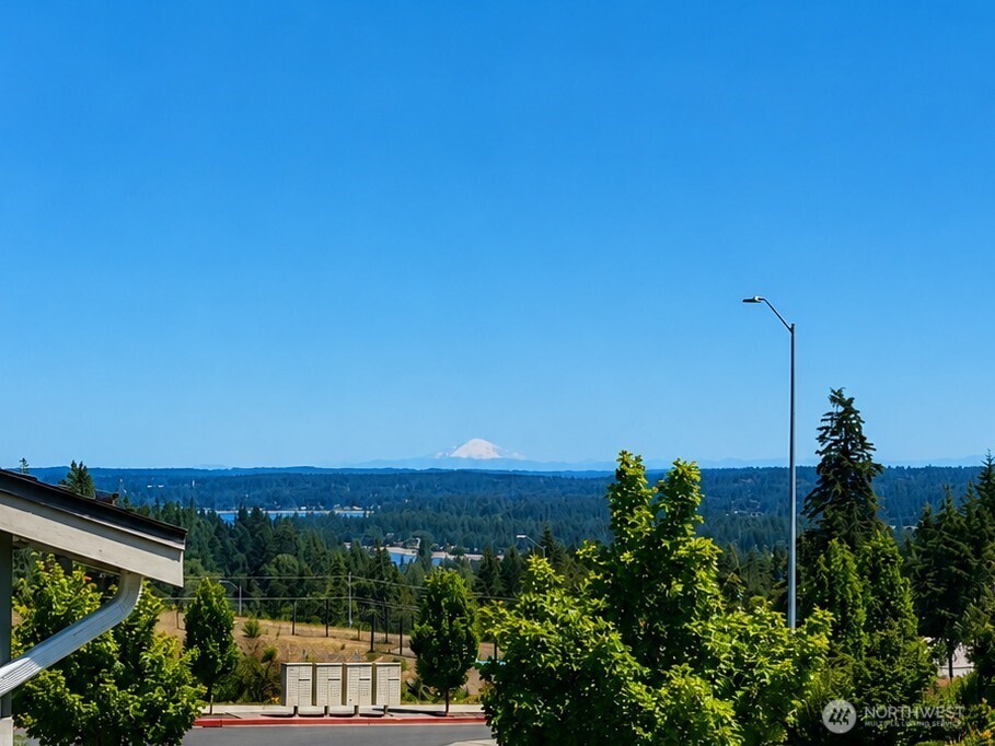 909 Timberline Avenue Property Photo 22
