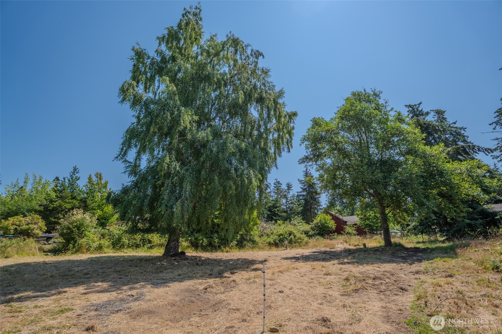 118 Alder Street Property Photo 4