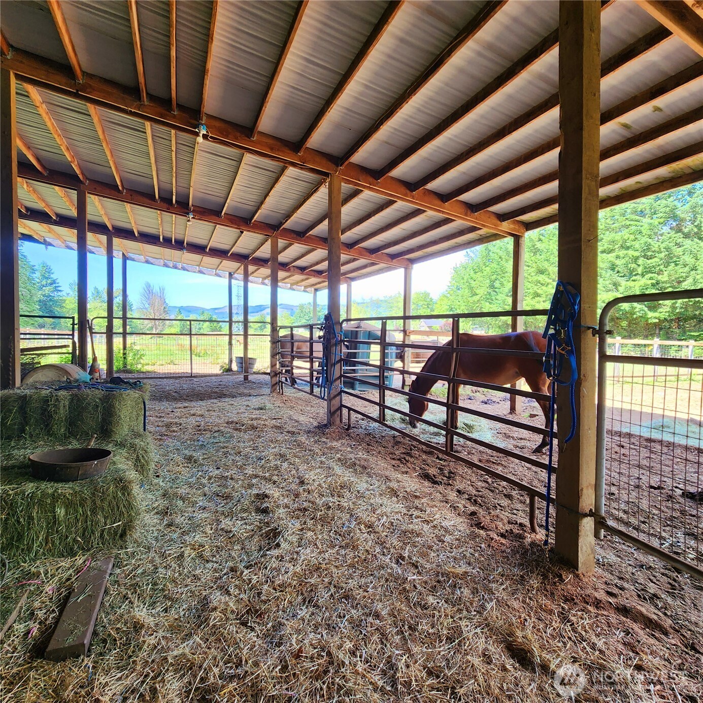144 Ciannigan Hill Road Property Photo 25