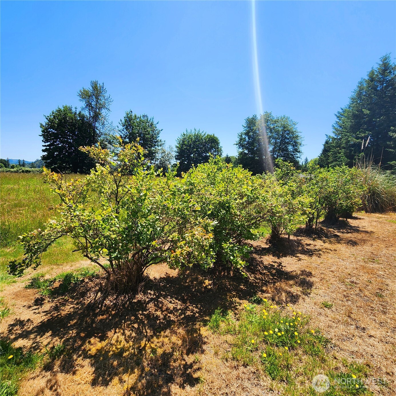 144 Ciannigan Hill Road Property Photo 31