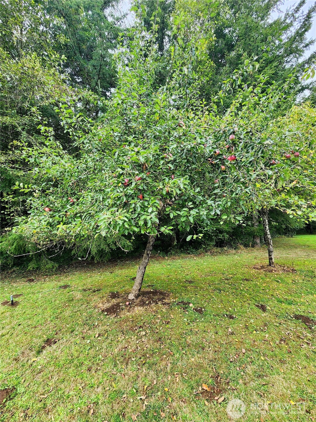 144 Ciannigan Hill Road Property Photo 34