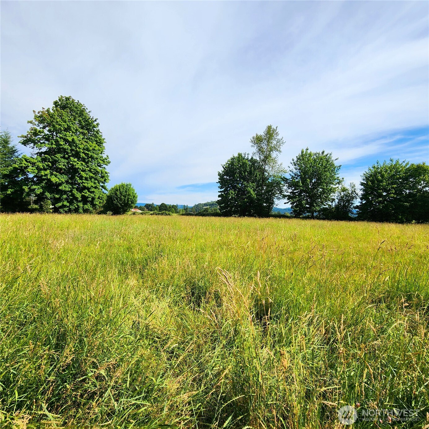 144 Ciannigan Hill Road Property Photo 35