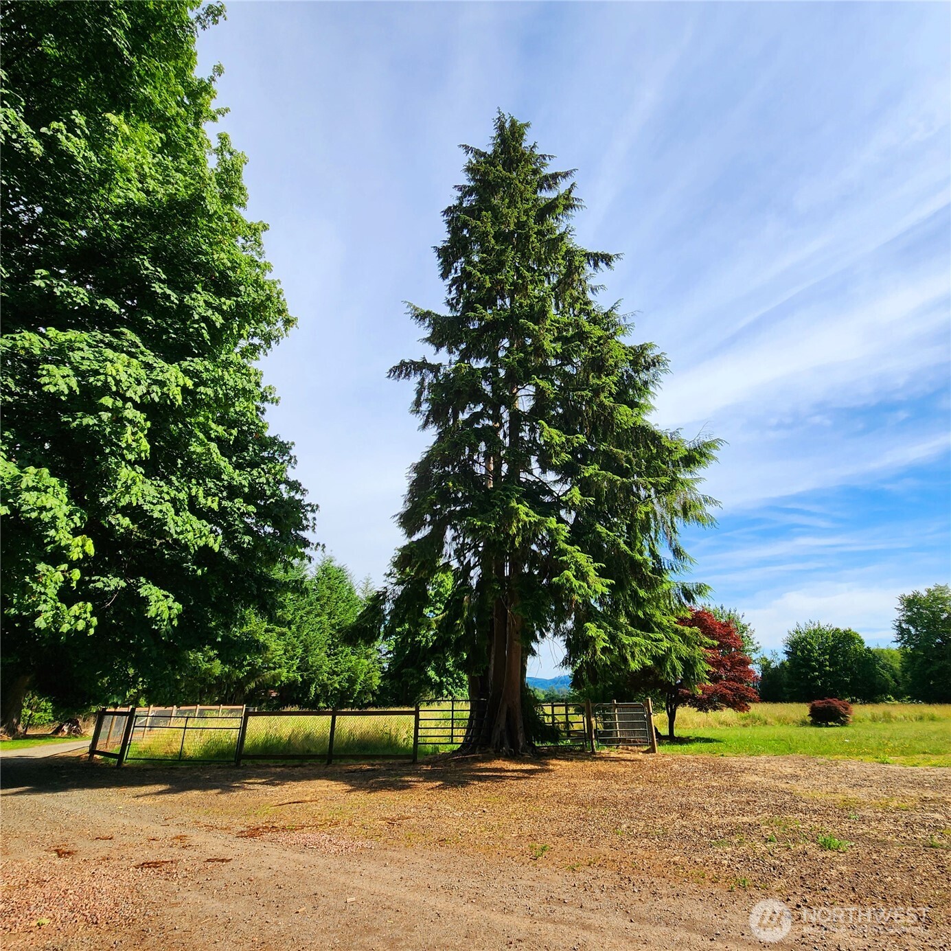 144 Ciannigan Hill Road Property Photo 39