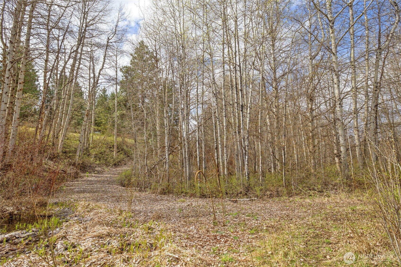 0 Westside Rd - Parcel 10577 Property Photo 25