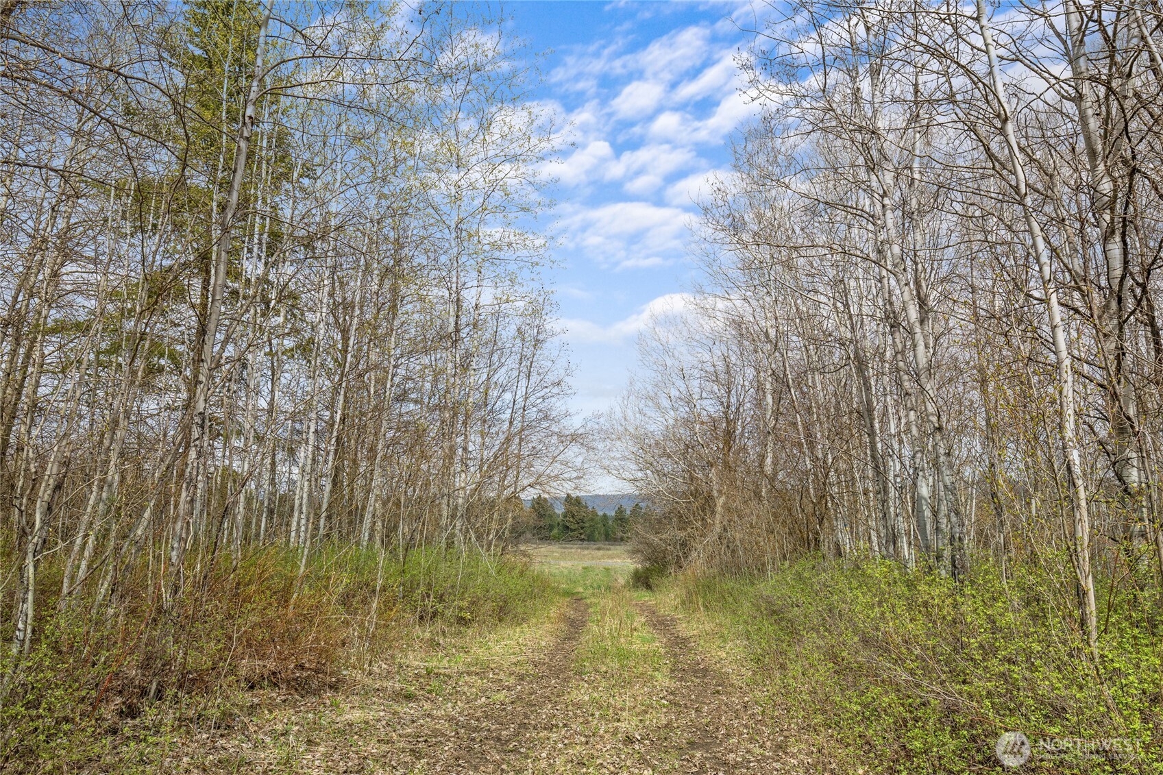 0 Westside Rd - Parcel 10577 Property Photo 26