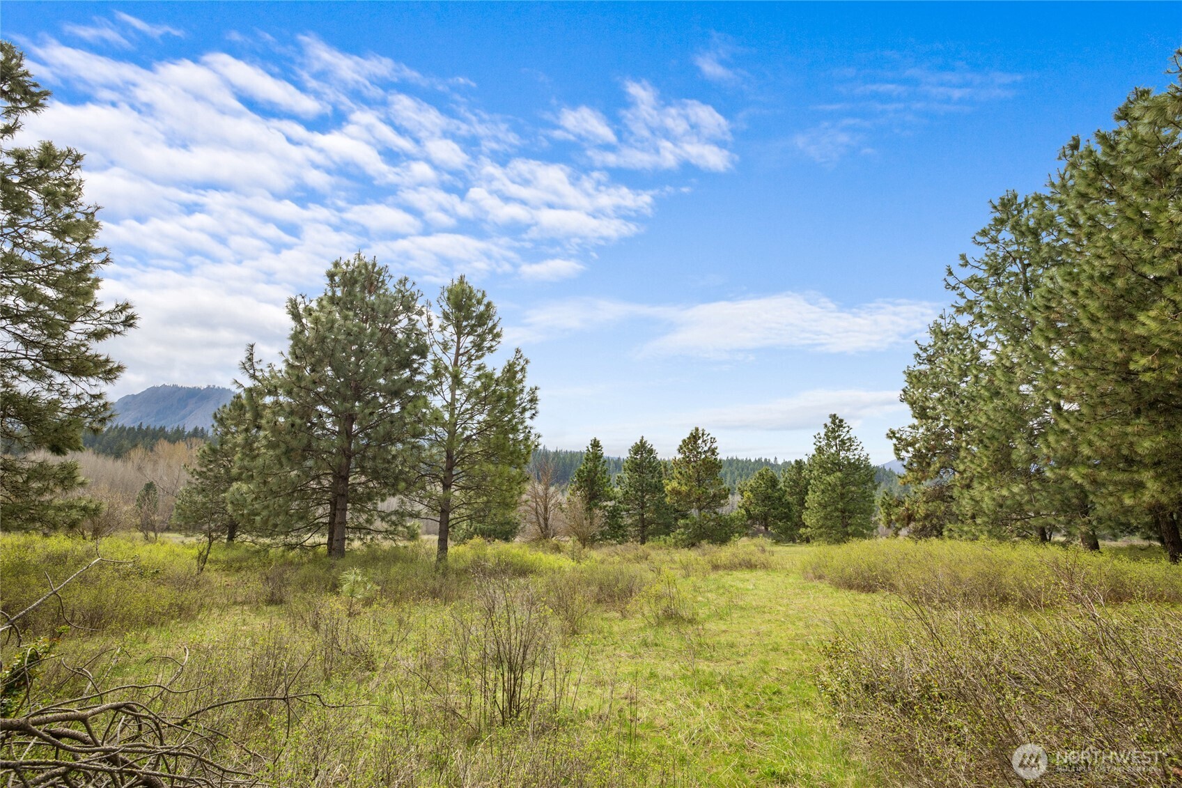 0 Westside Rd Pcl -10579 & 10580 Property Photo 14
