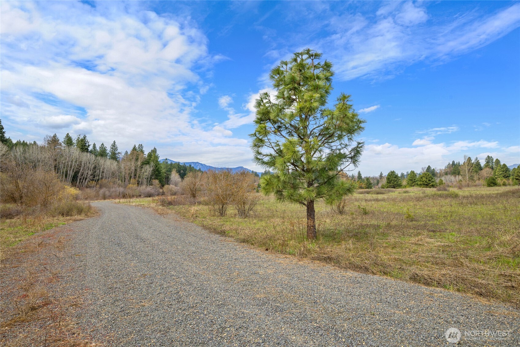 0 Westside Rd Pcl -10579 & 10580 Property Photo 15