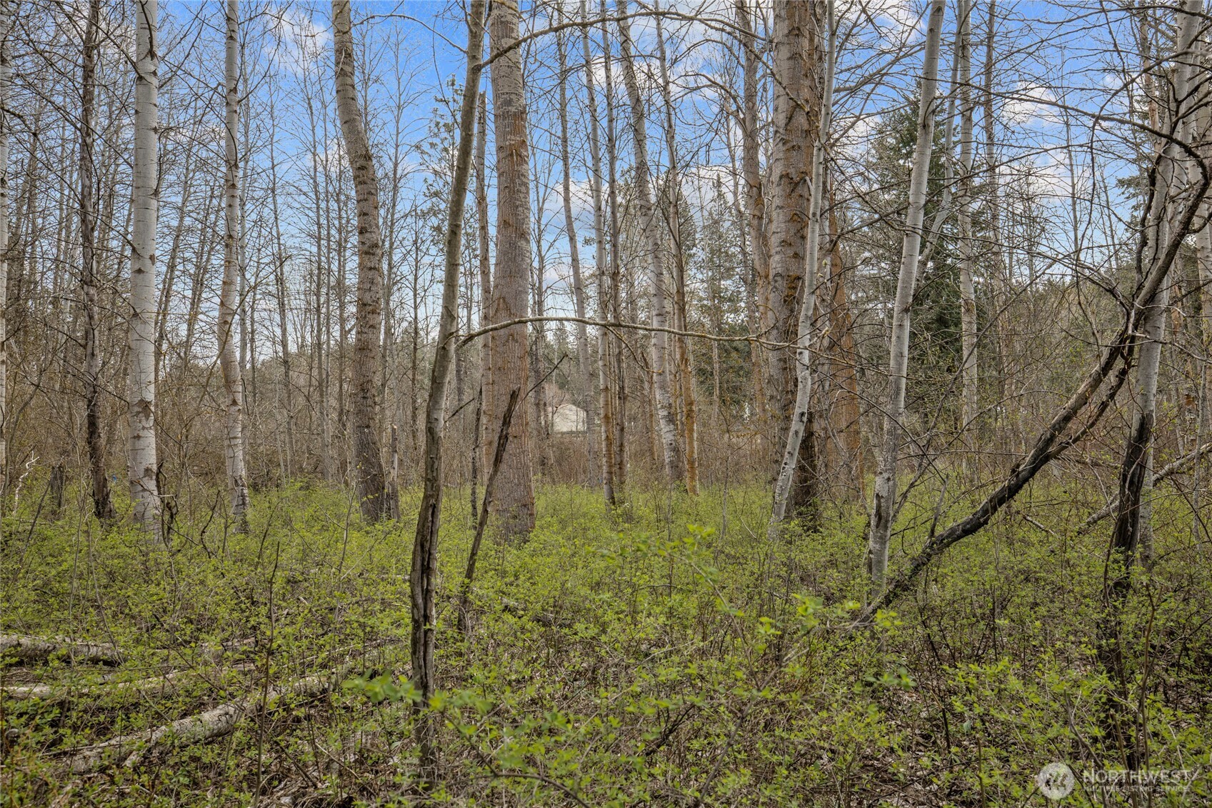 0 Westside Rd Pcl -10579 & 10580 Property Photo 20
