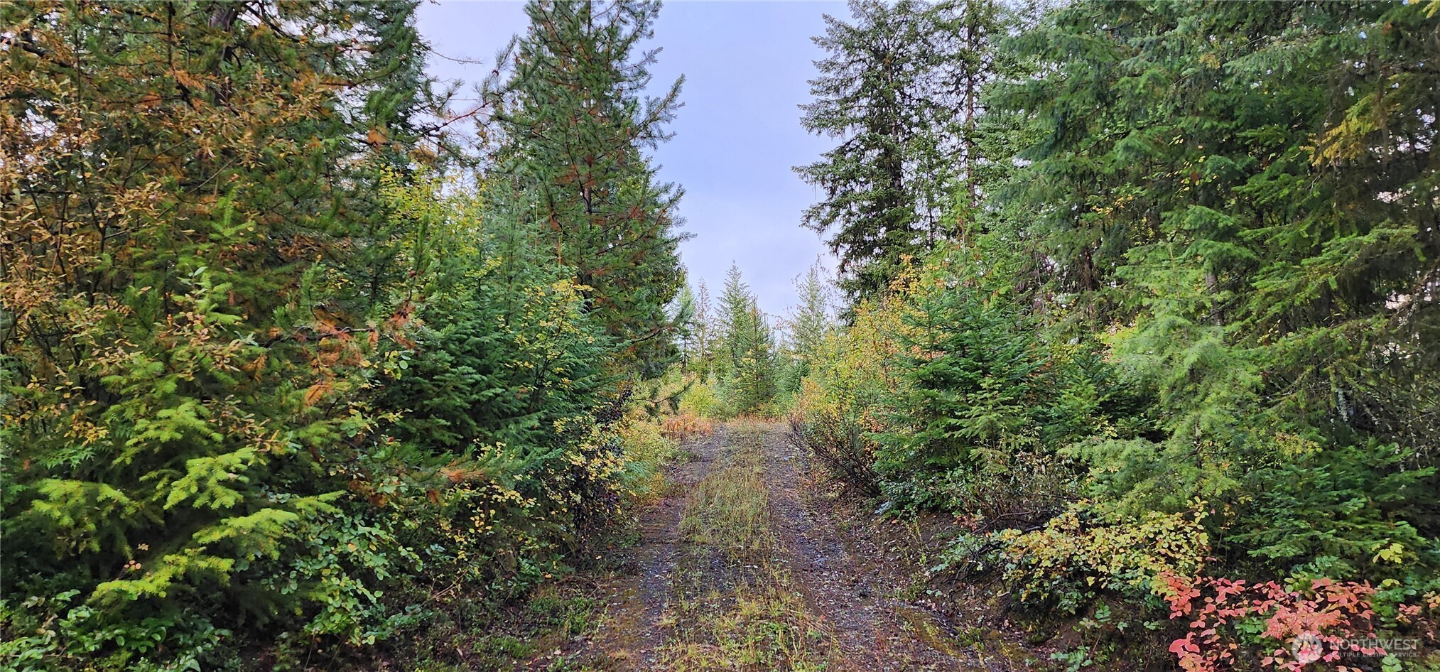 2518 A Bodie Mountain Road Property Photo 19