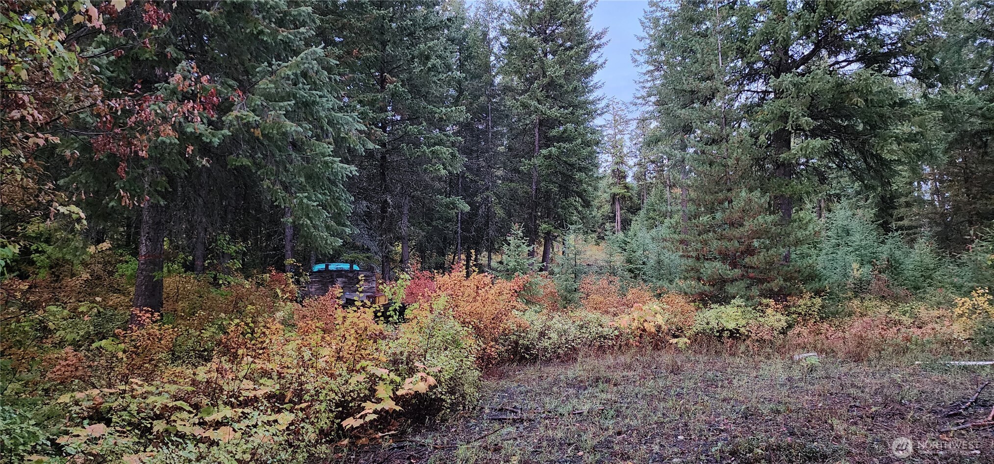 2518 A Bodie Mountain Road Property Photo 23