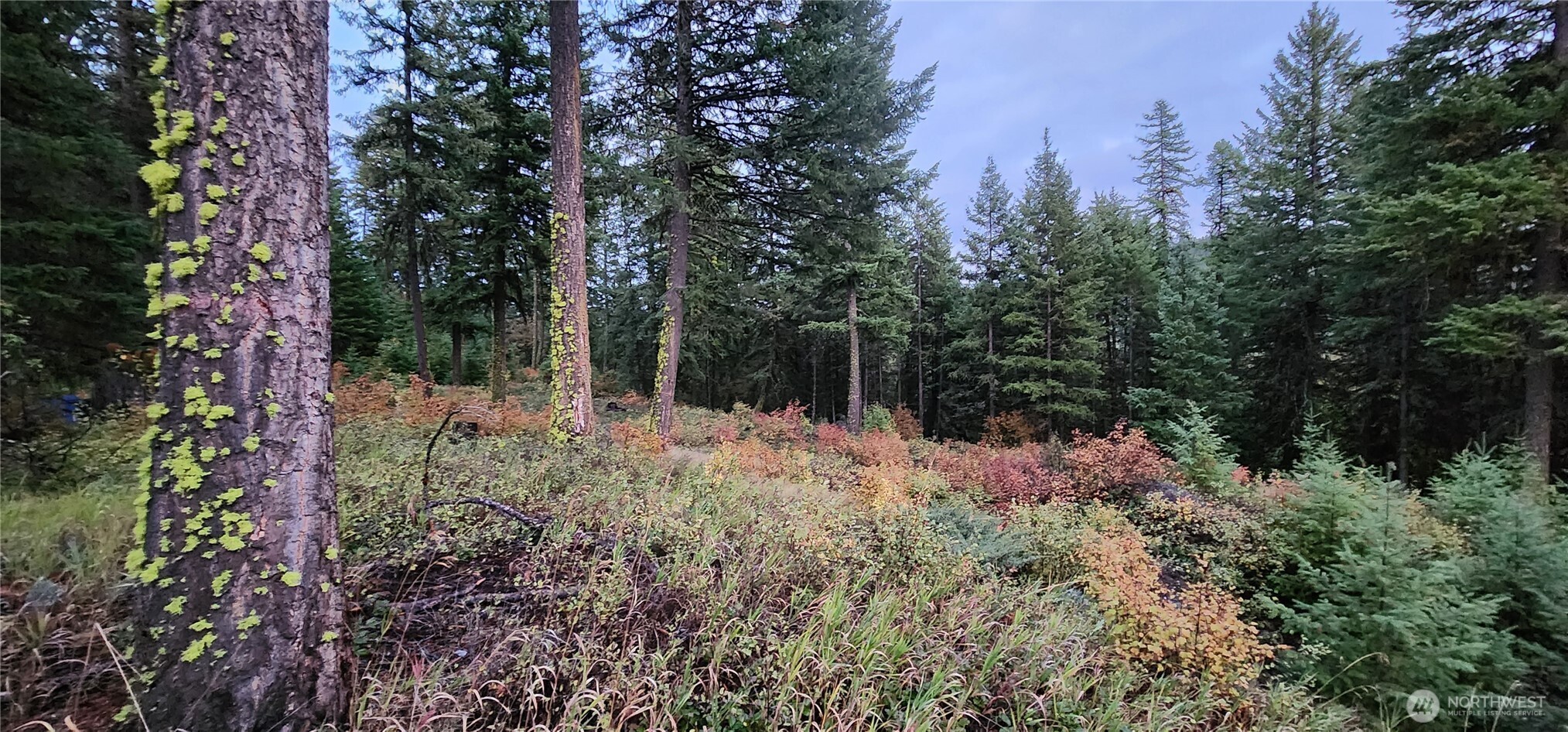 2518 A Bodie Mountain Road Property Photo 26