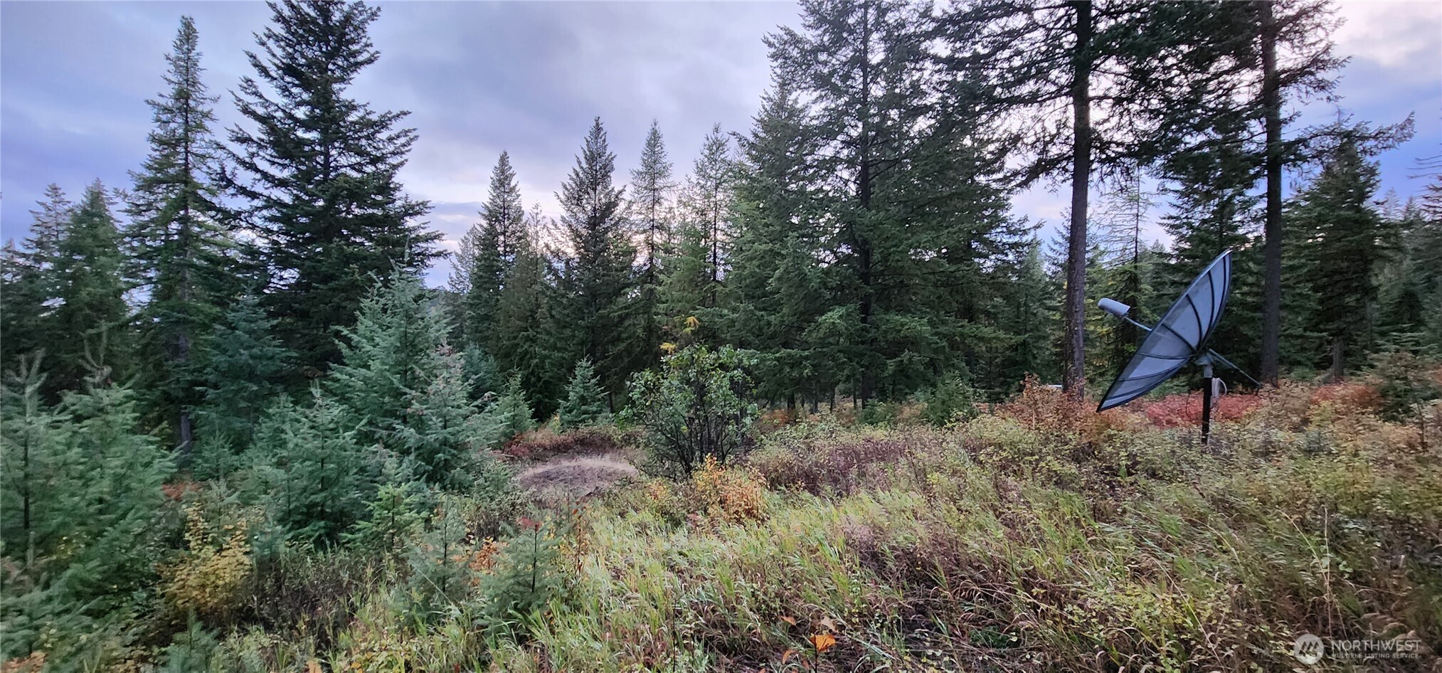 2518 A Bodie Mountain Road Property Photo 27