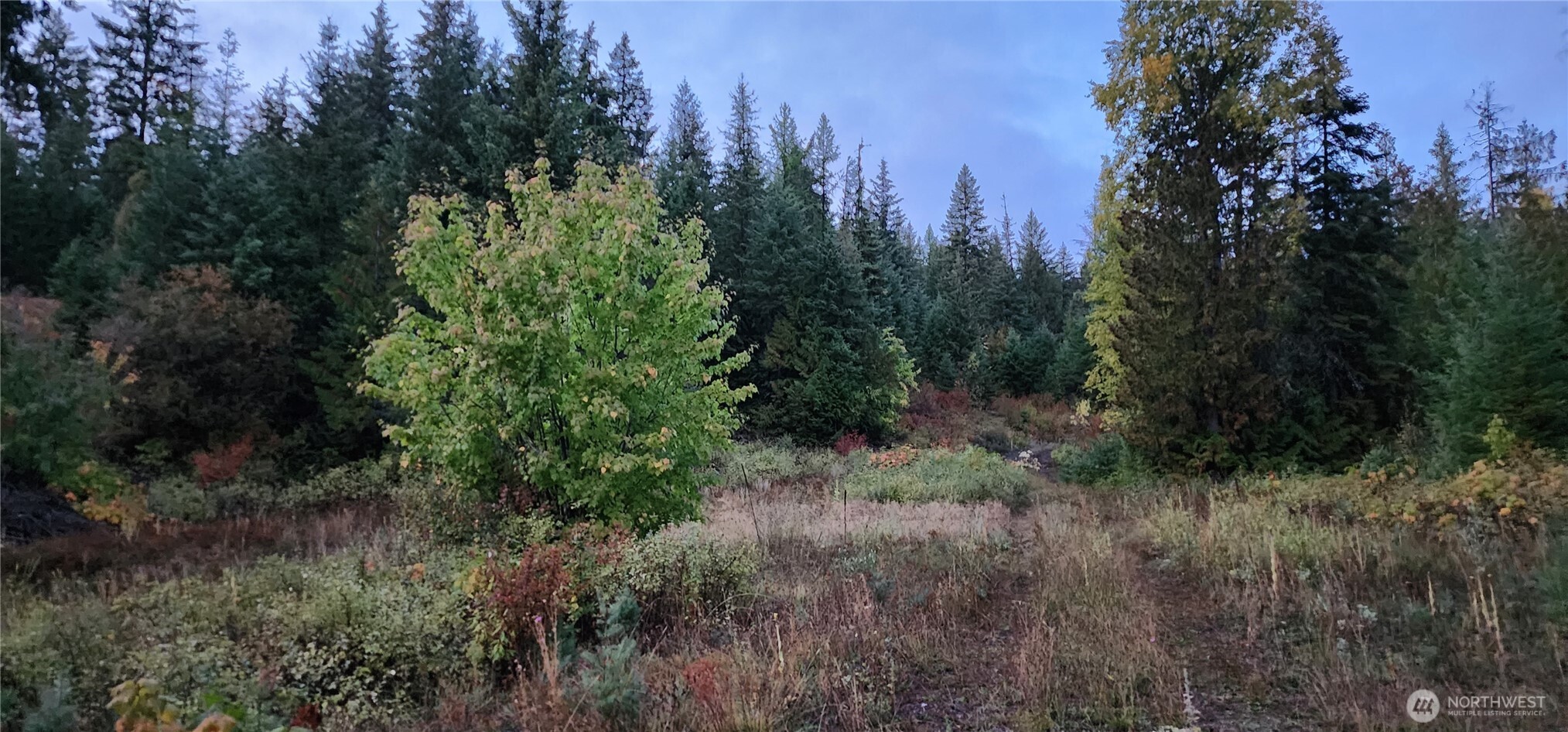 2518 A Bodie Mountain Road Property Photo 31