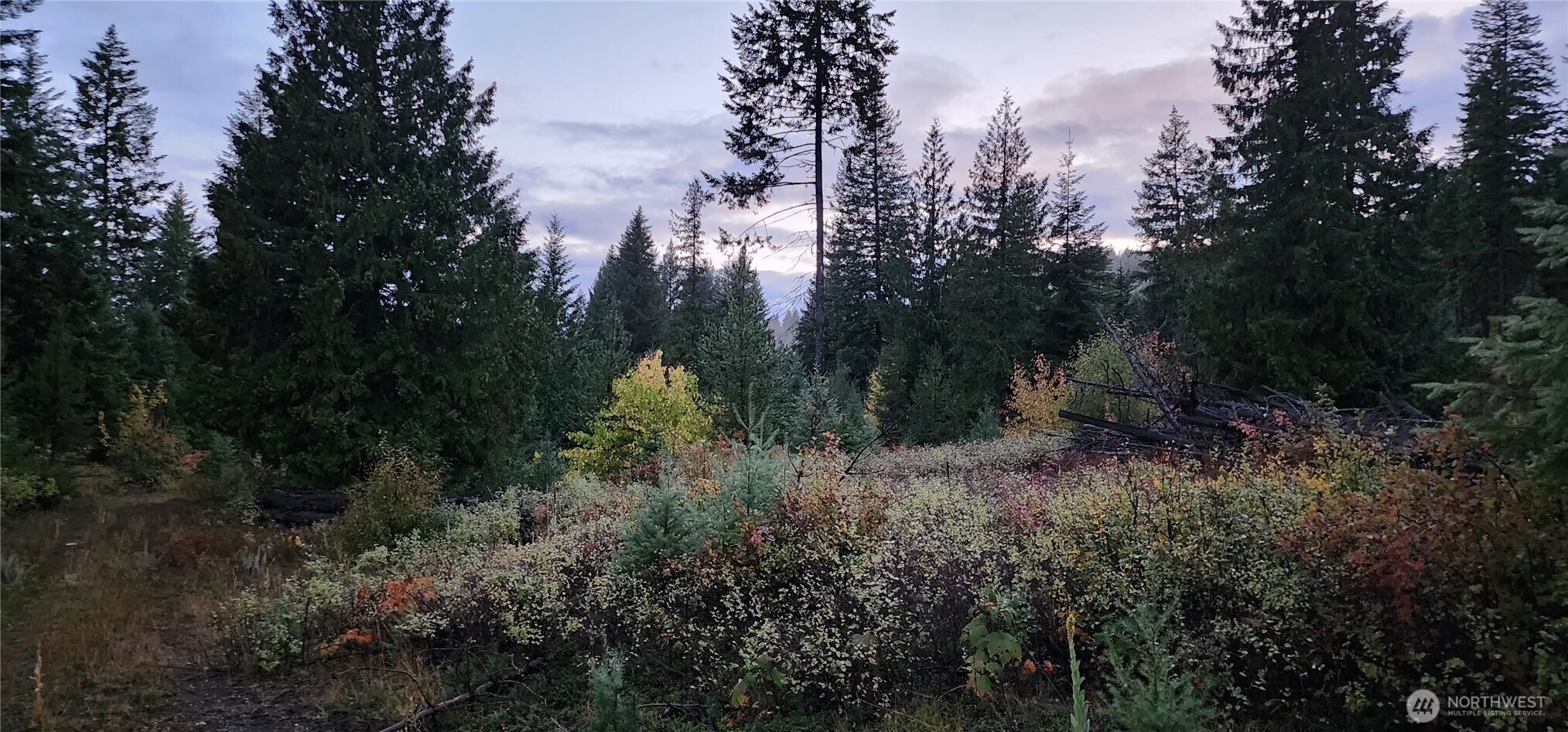 2518 A Bodie Mountain Road Property Photo 32