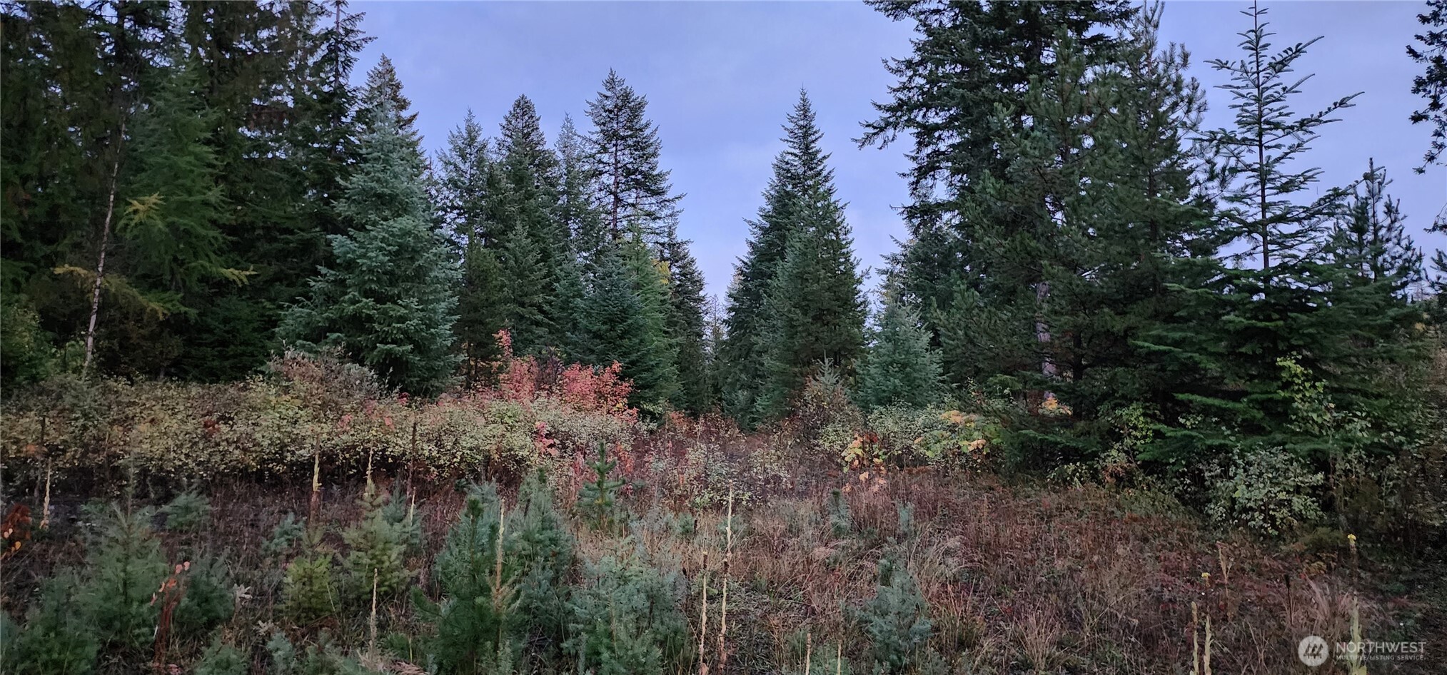2518 A Bodie Mountain Road Property Photo 33
