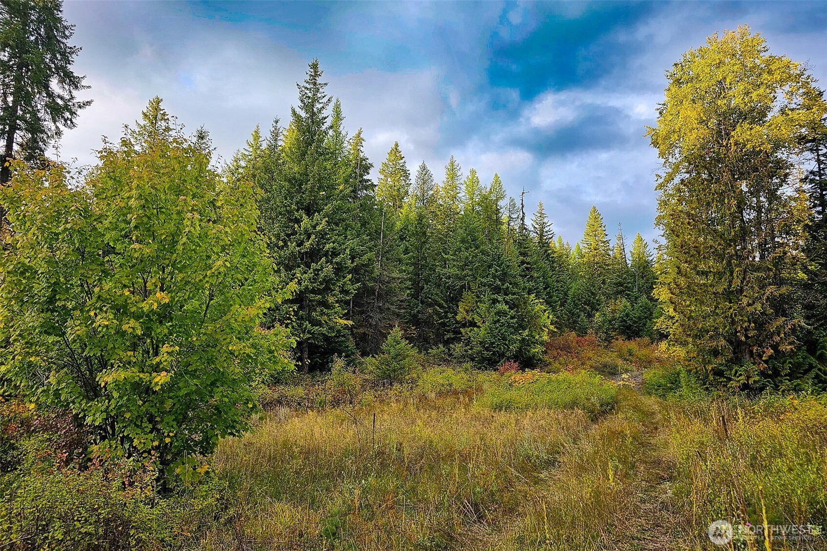 2518 A Bodie Mountain Road Property Photo 34