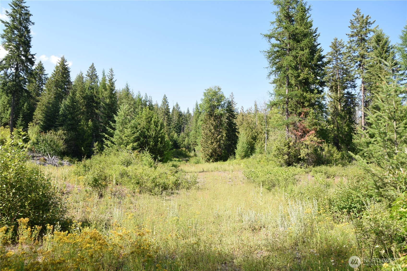 2518 A Bodie Mountain Road Property Photo 36