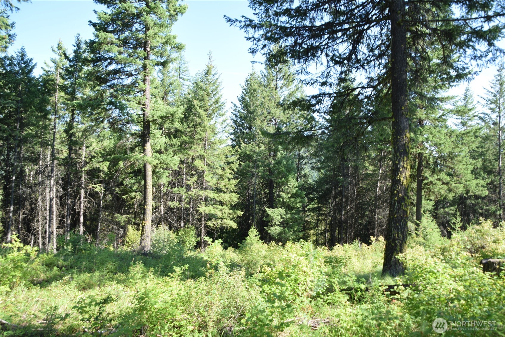 2518 A Bodie Mountain Road Property Photo 38