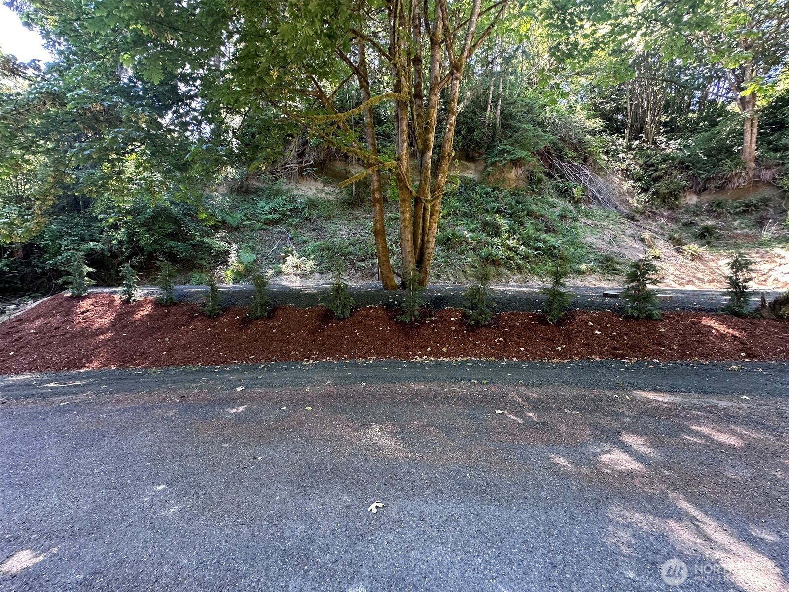 0 Twanoh Place Property Photo 3