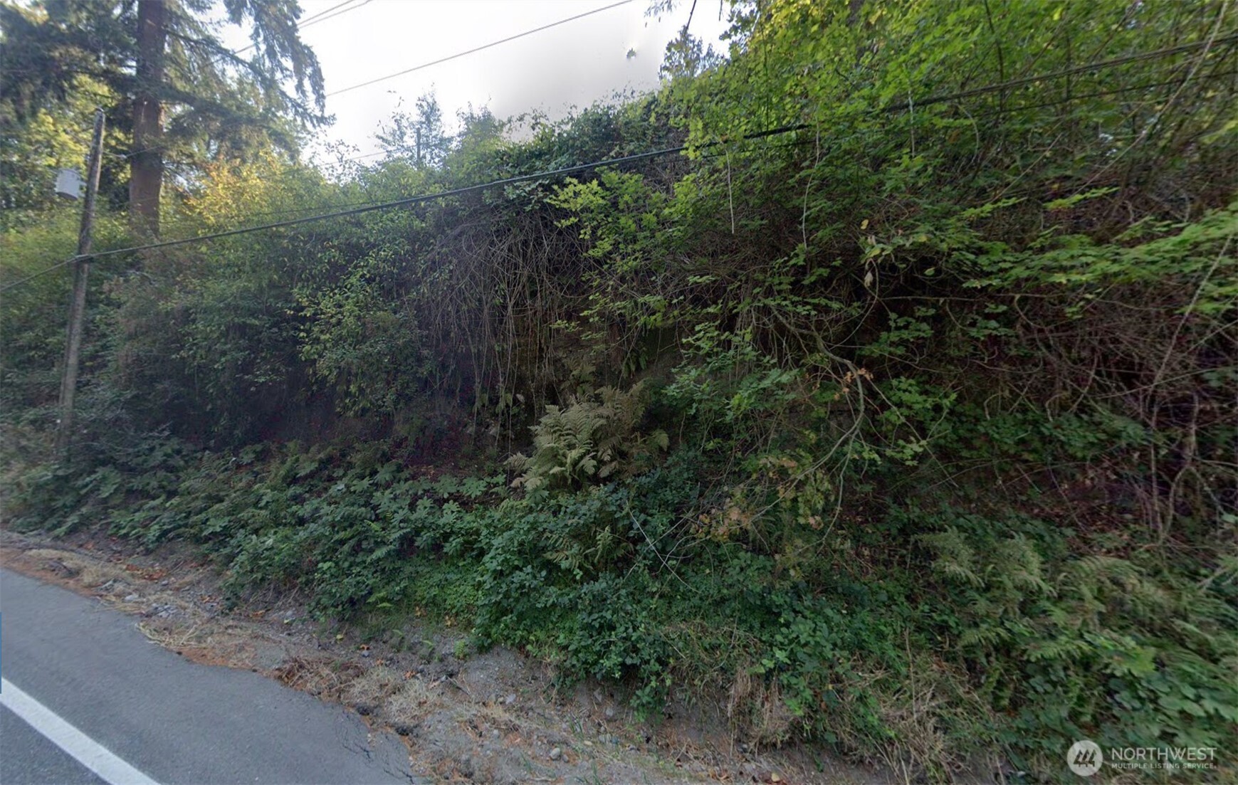 590 Moose Mountain Road Property Photo 1