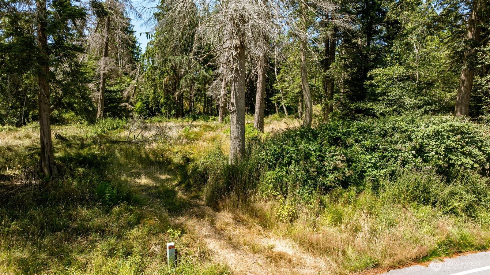 2458 North Bluff Rd Property Photo 5