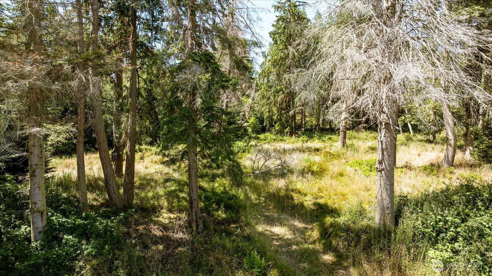 2458 North Bluff Rd Property Photo 6