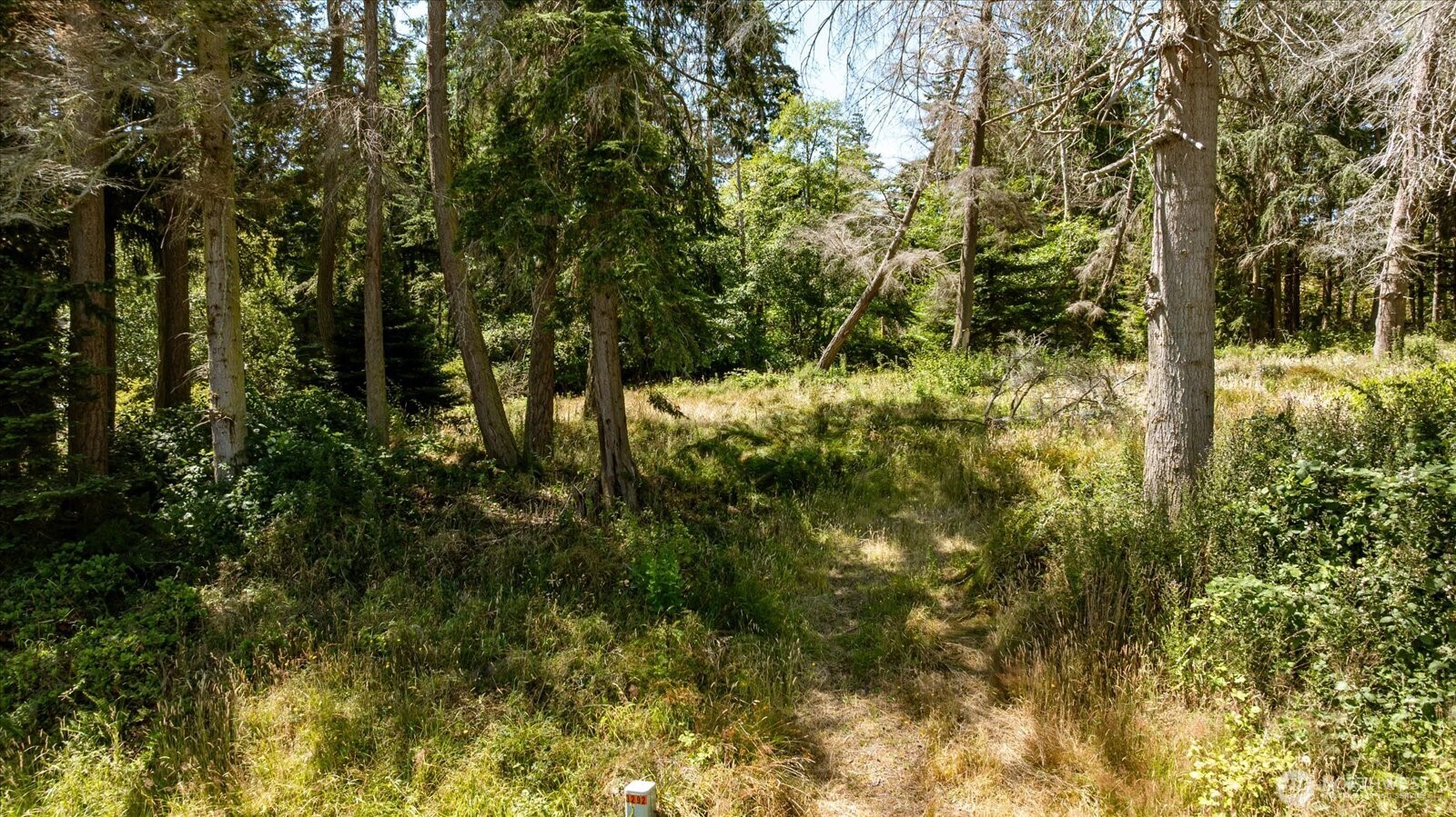 2458 North Bluff Rd Property Photo 9
