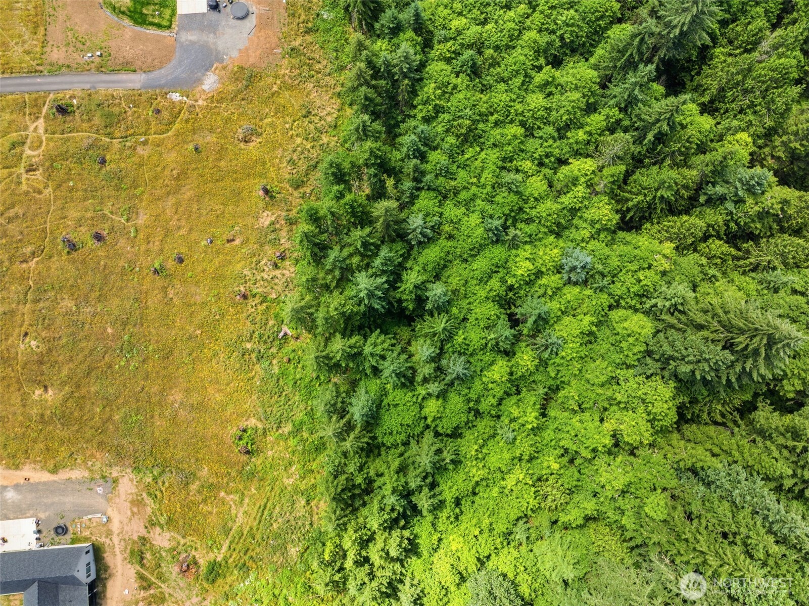 252 Ash Mountain Drive Property Photo 11