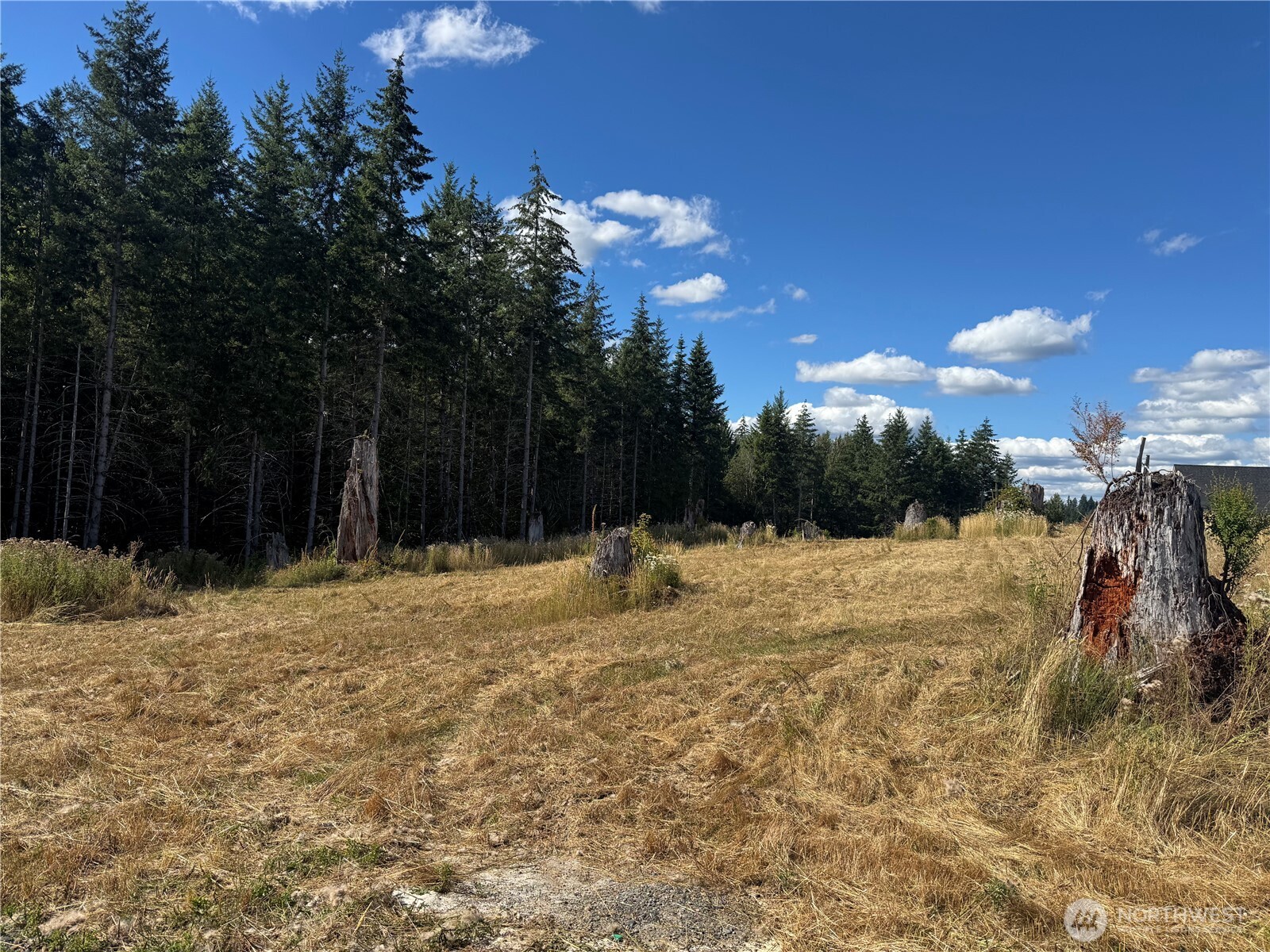 252 Ash Mountain Drive Property Photo 12